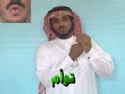 توضيح إشارة "توأم" - Sign demonstration for "twin"