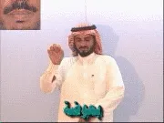 توضيح إشارة "بعوضة" - Sign demonstration for "mosquito"